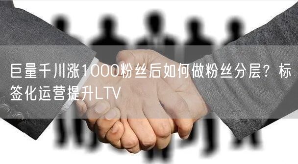 巨量千川涨1000粉丝后如何做粉丝分层？标签化运营提升LTV